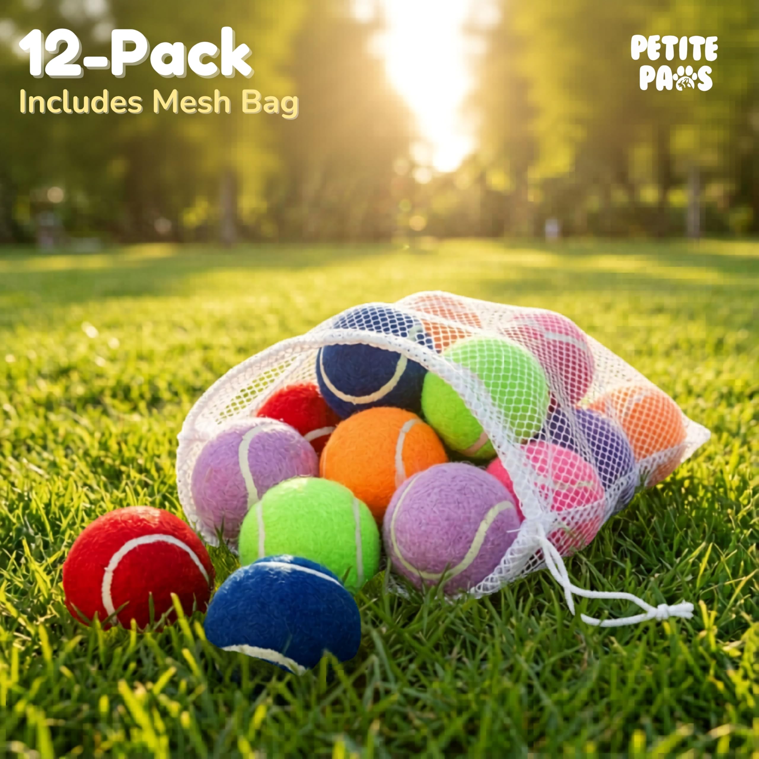 Petite Paws small-dog training toy set supports interactive play.