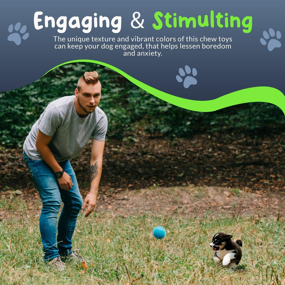 Petite Paws Spiky Ball ideal for puppy playtime.
