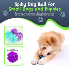 Petite Paws Spiky Ball textured surface aids grip.