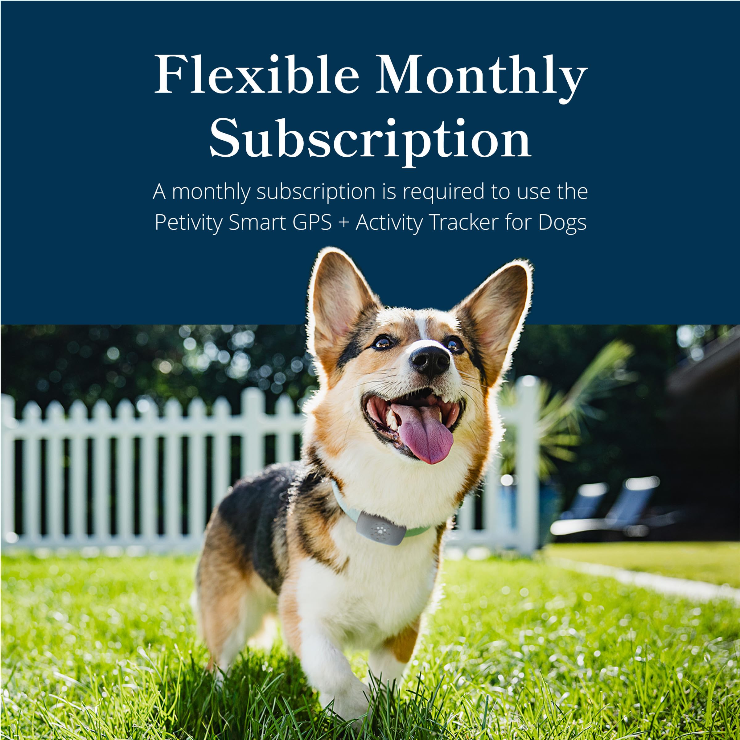 Petivity activity tracking dashboard displays personalized goals and progress