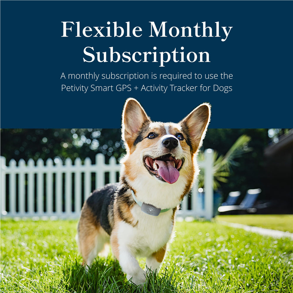 Petivity activity tracking dashboard displays personalized goals and progress