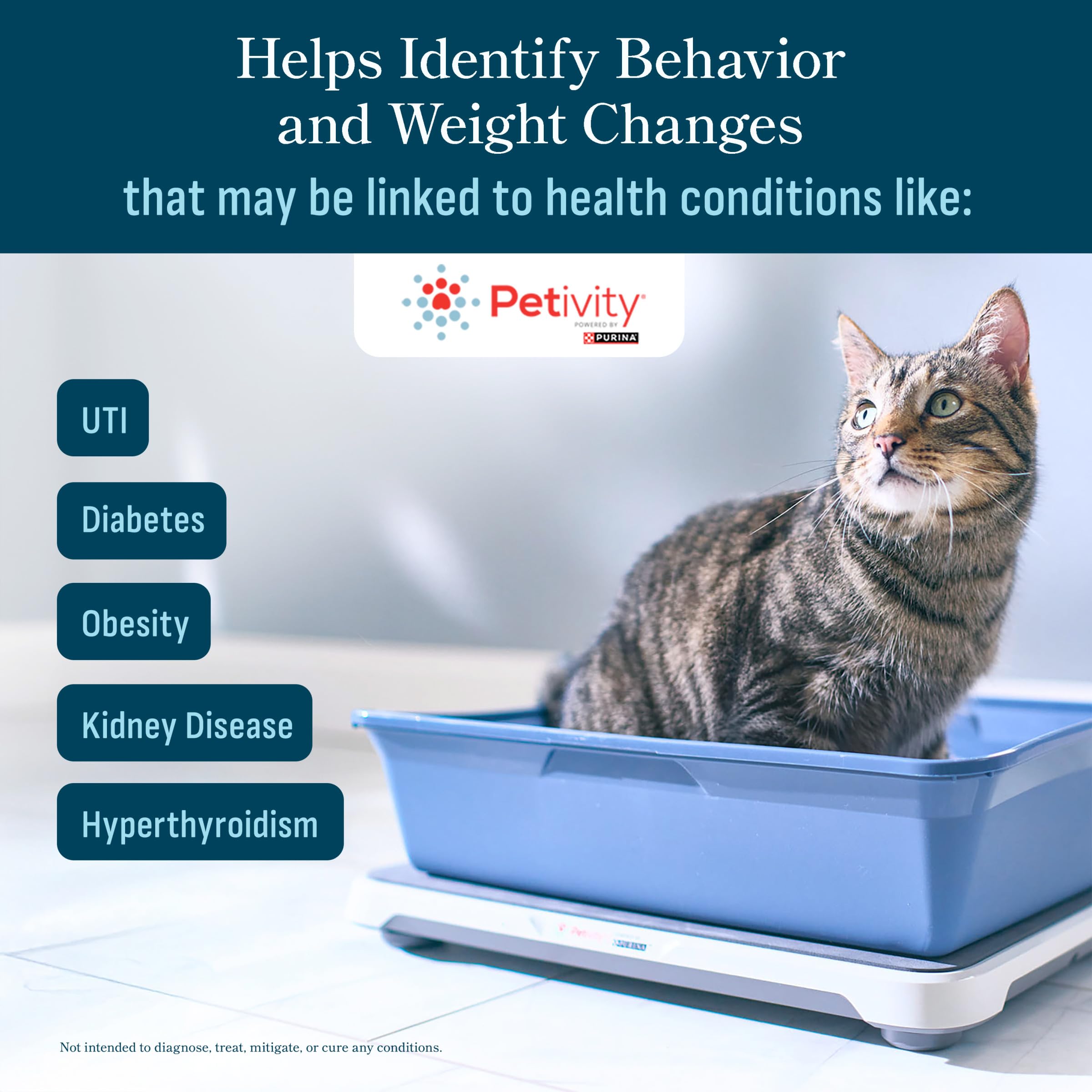 Petivity AI alerts dashboard with health-change notifications.