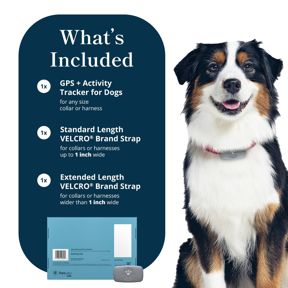 Petivity tracker fits securely on any collar or harness
