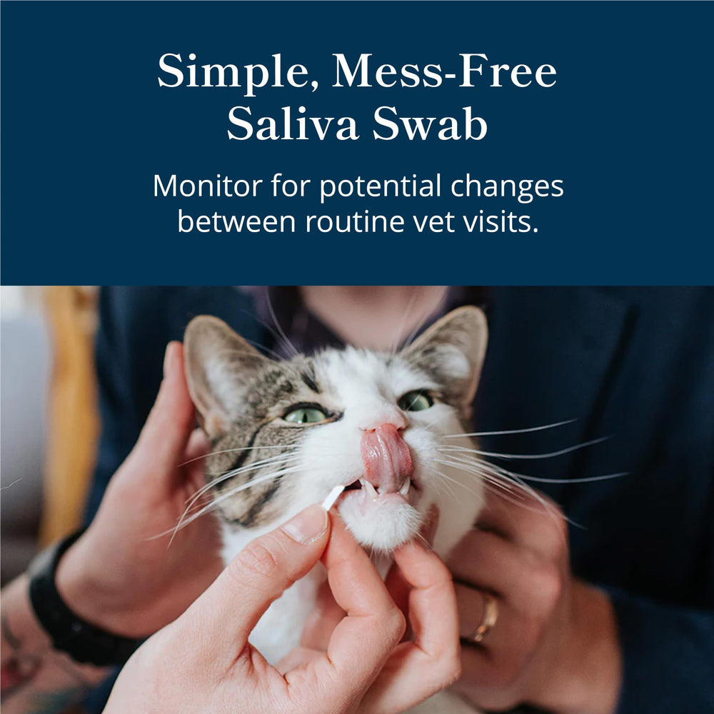 Petivity measures urea levels in cat saliva for early health insights.