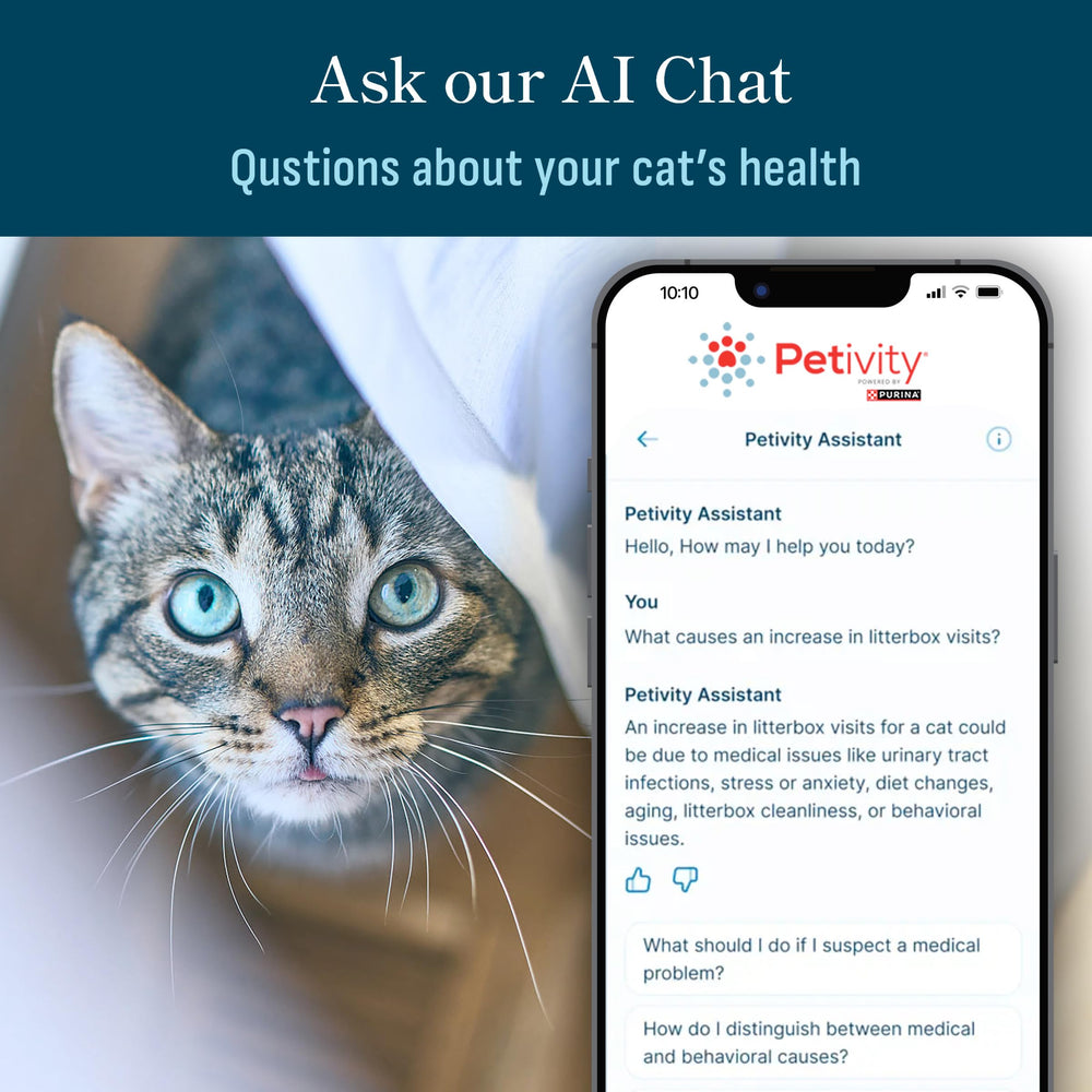 Petivity mobile app screenshot displays monitoring features at a glance.