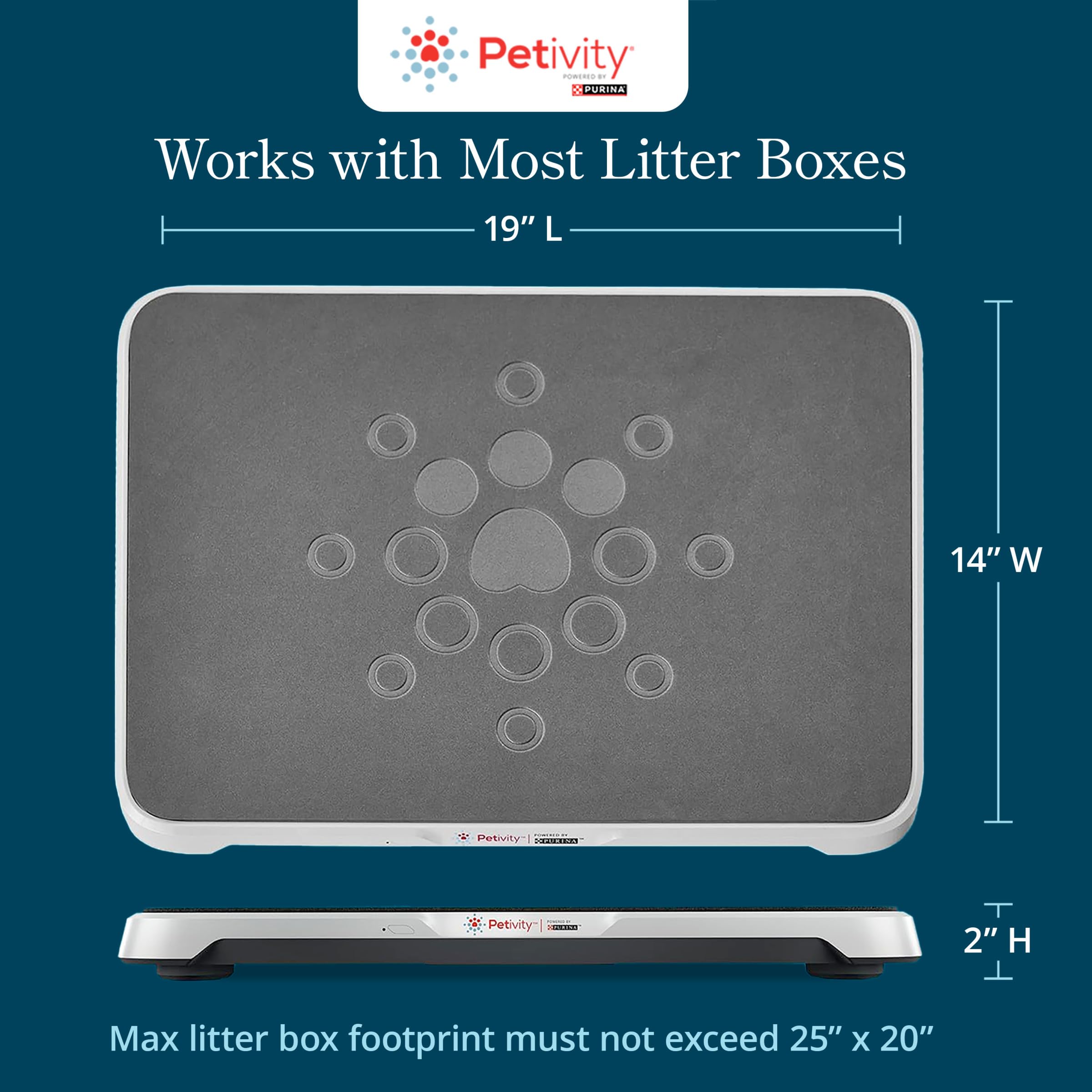Petivity multi-cat detection differentiates cats without collars.
