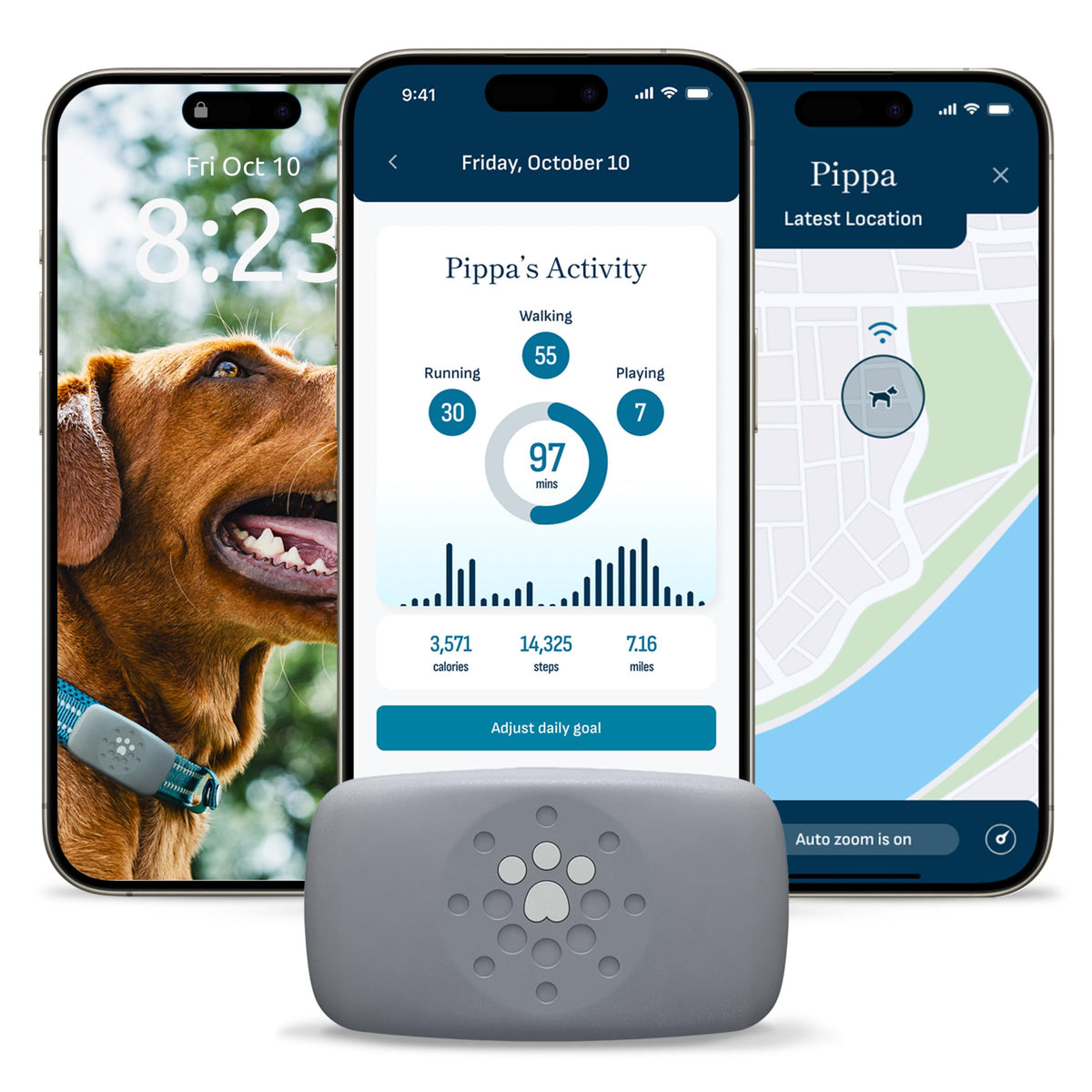 Petivity Smart GPS Dog Tracker on collar shows live location for quick recovery