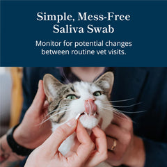 Petivity test device with clear results for cat kidney health checks.