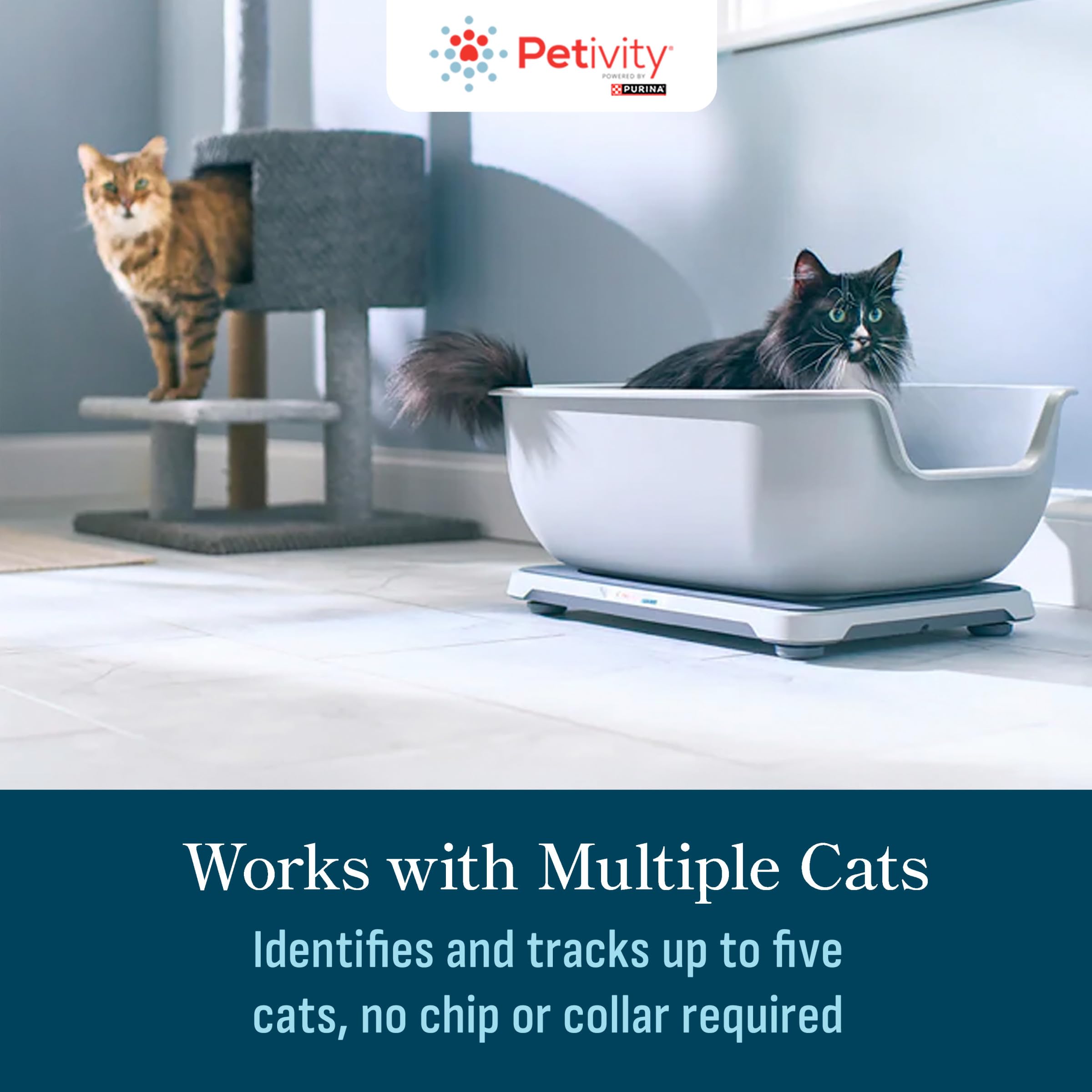 Petivity vet report sharing simplifies data transfer with veterinarians.