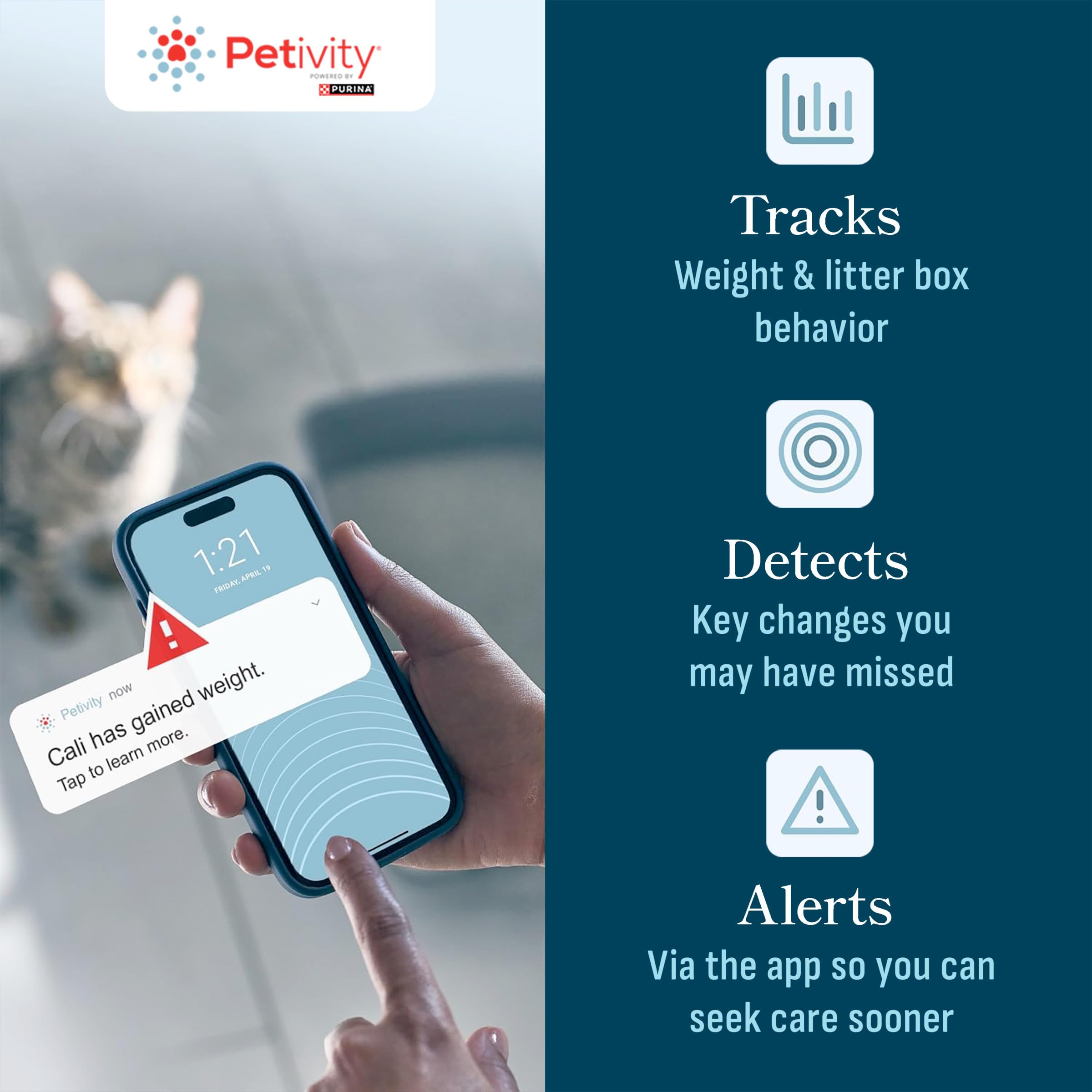 Petivity weight scale tracks cat profile trends over time.