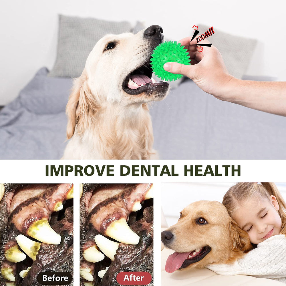 Petizer squeaky ball entices dogs with sound cue for active playtime