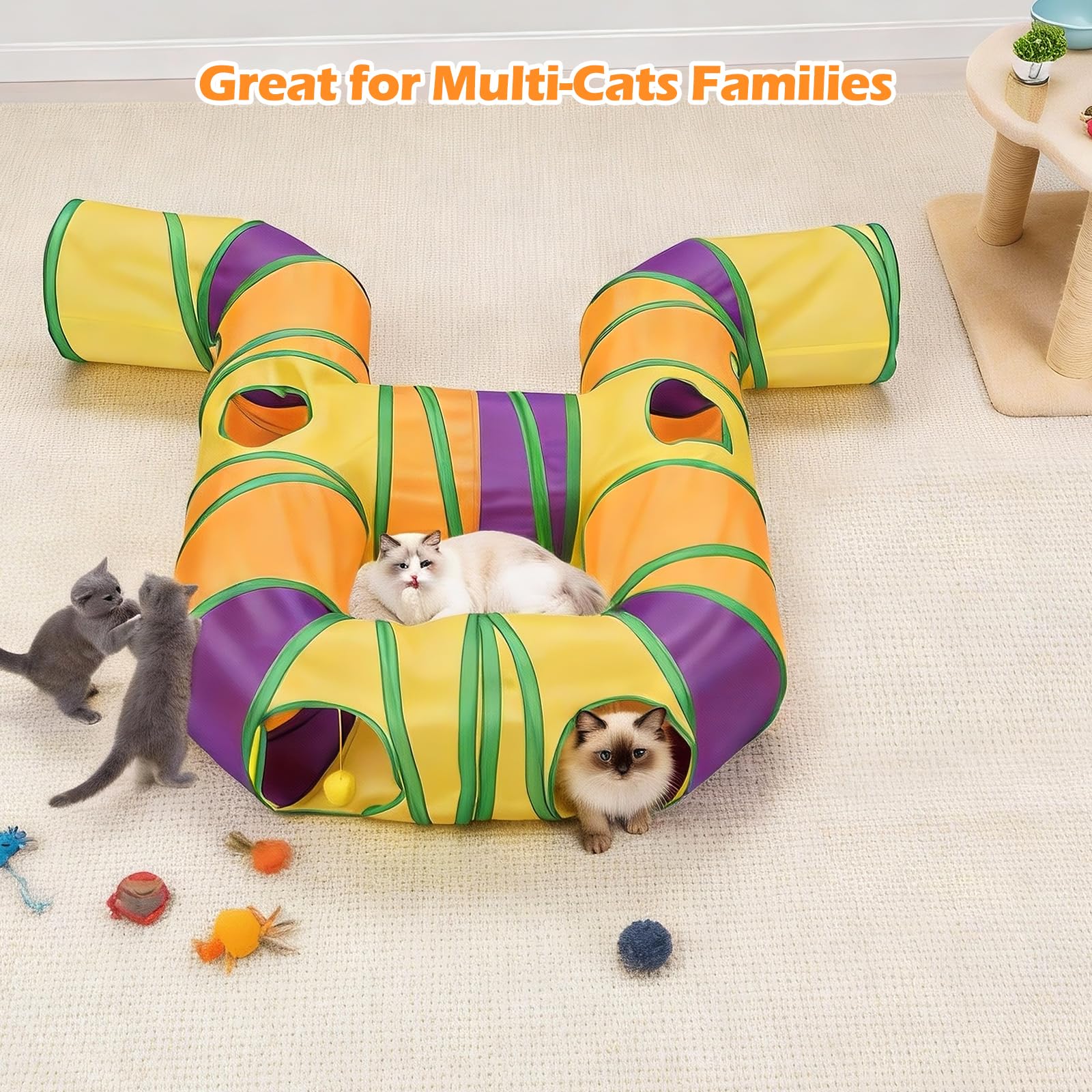 Petizer colorful interior inspires curiosity and cozy play spaces for pets.
