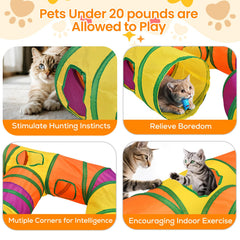 Petizer tunnel with interactive balls enhances interactive play.