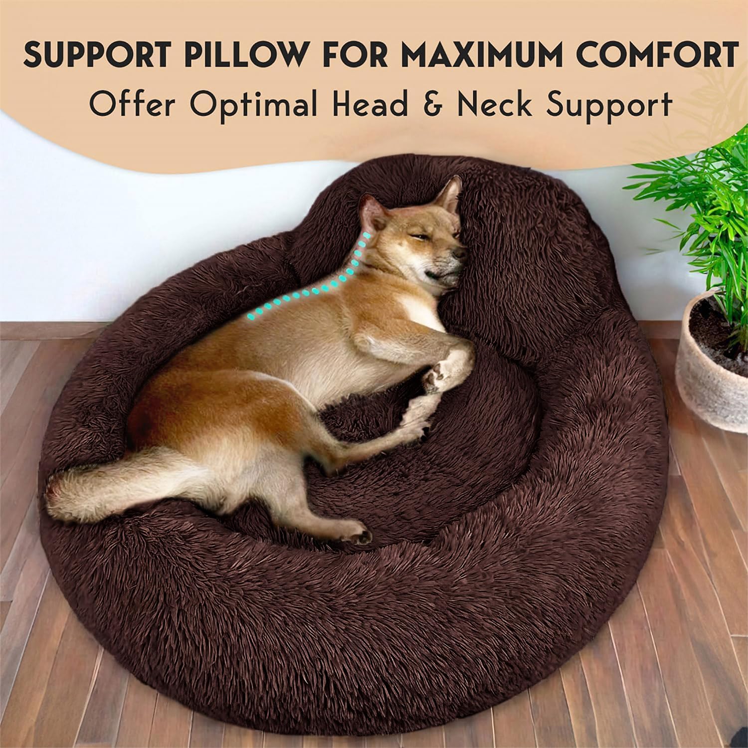 PetJett donut bed shows an 8 inch raised rim for head and neck support