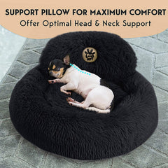 PetJett donut bed with raised rim for cozy support