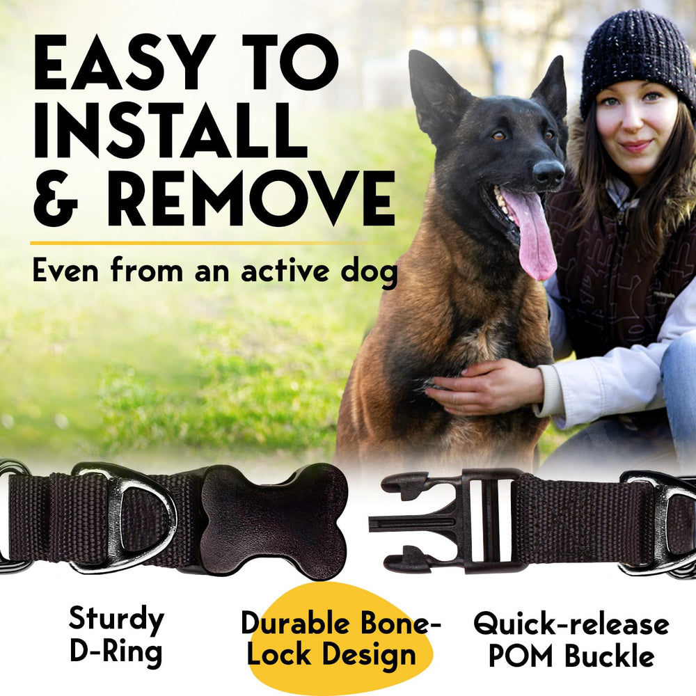 PET JETT D-ring offers secure leash attachment for reliable handling.