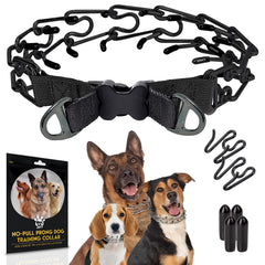 PetJett prong collar worn by dog during a calm walk for gentle guidance
