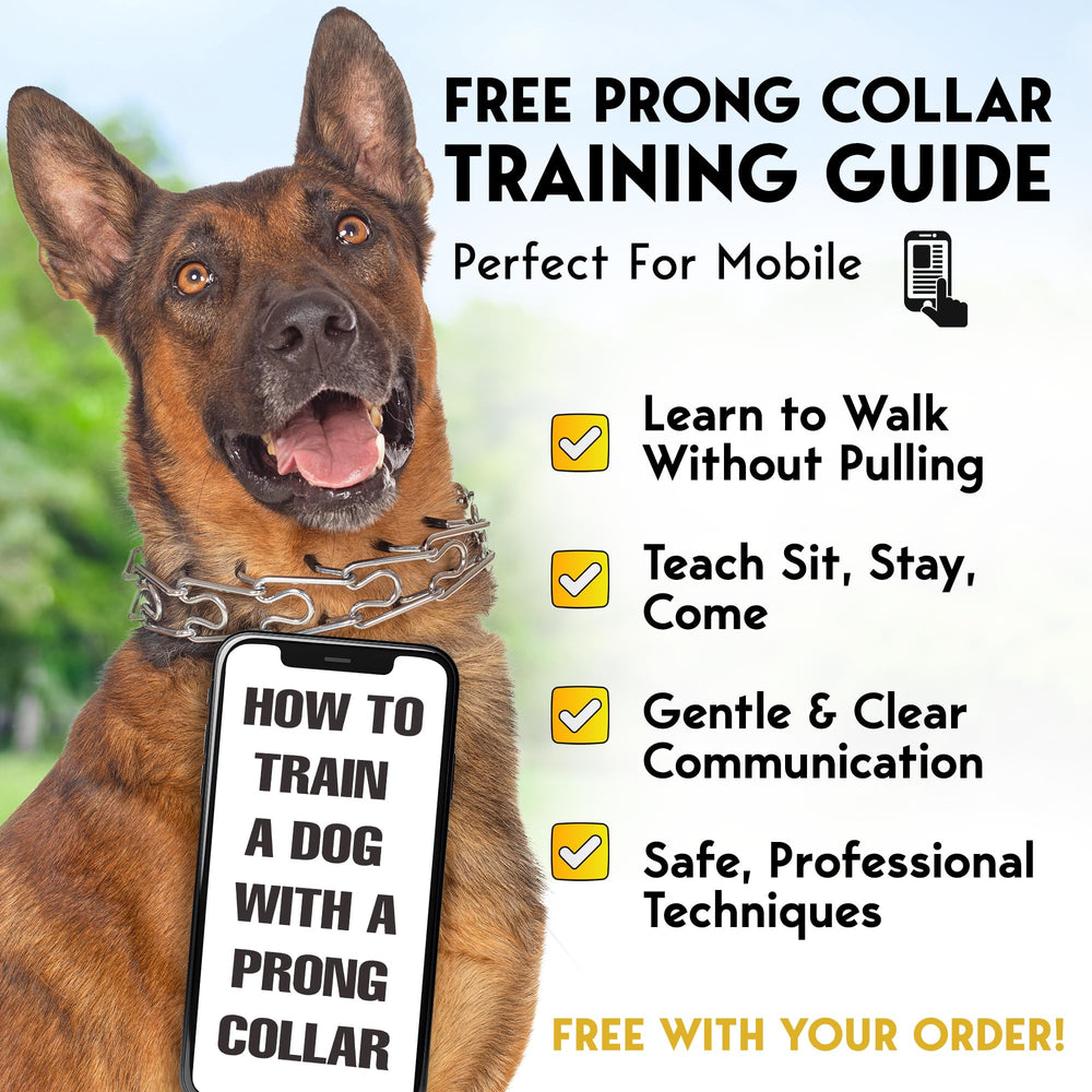 PetJett no-pull training collar reducing pulling behavior
