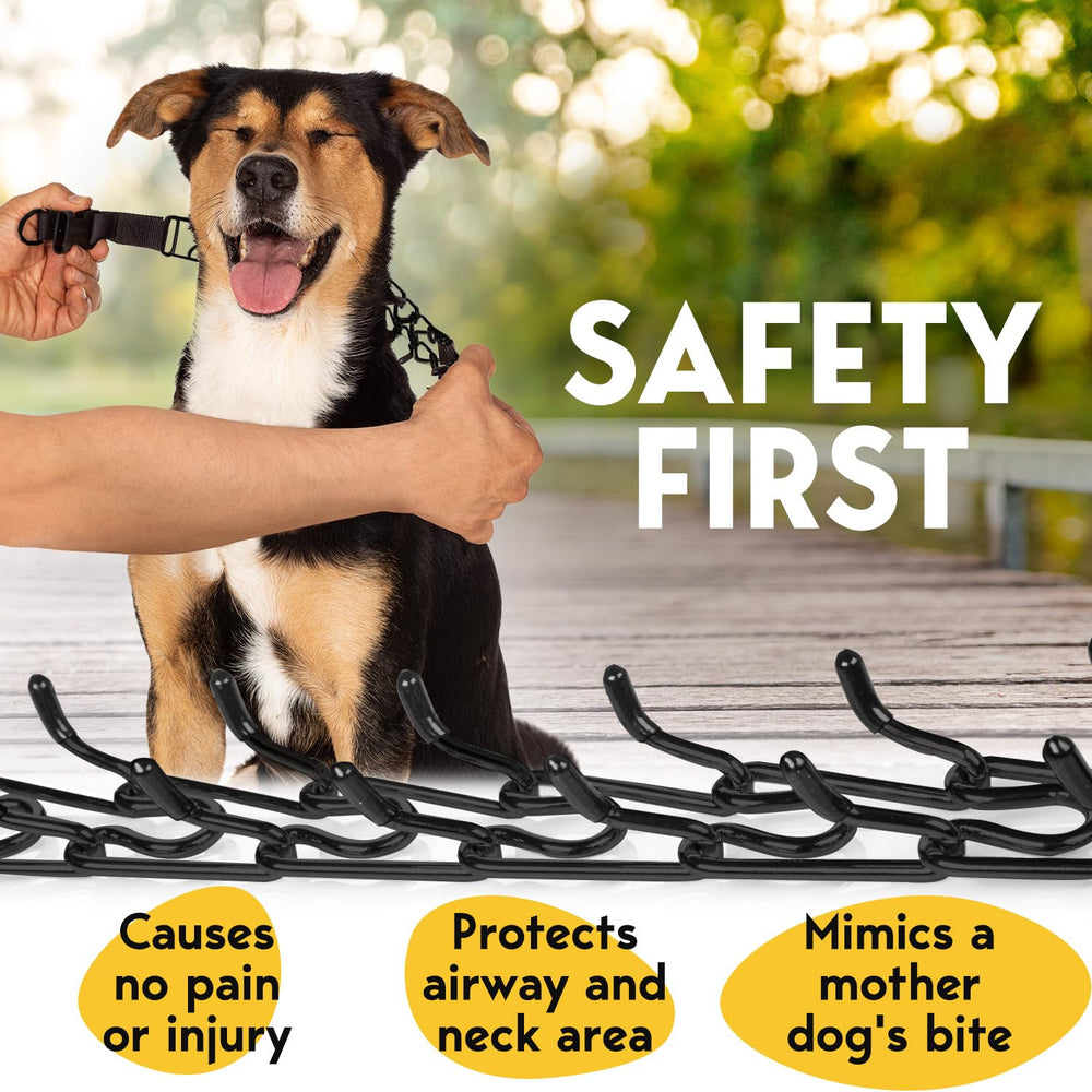 PetJett prong collar with silicone caps protecting neck during training