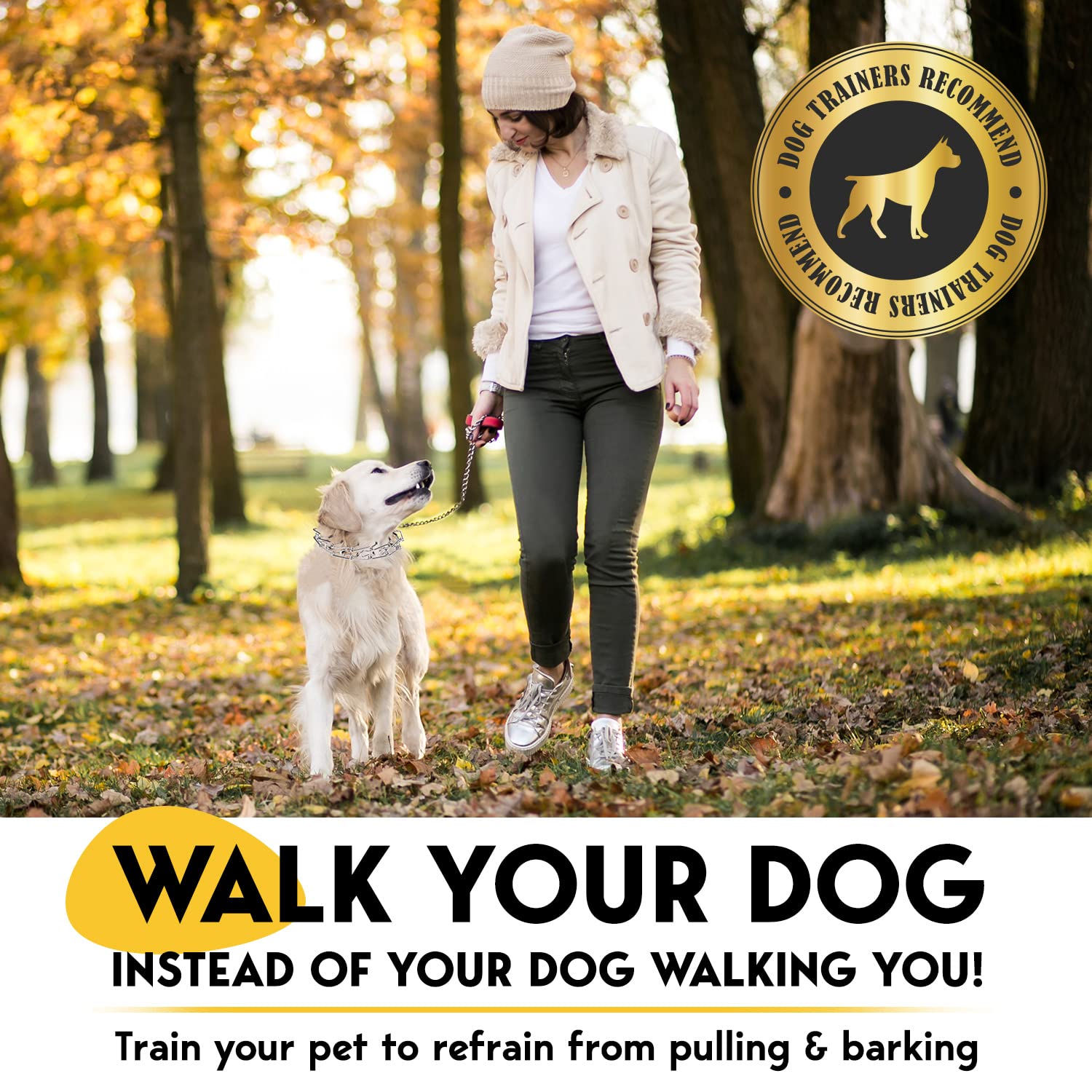 Pet Jett ProTrainer with silicone neck protection reduces irritation during correction.