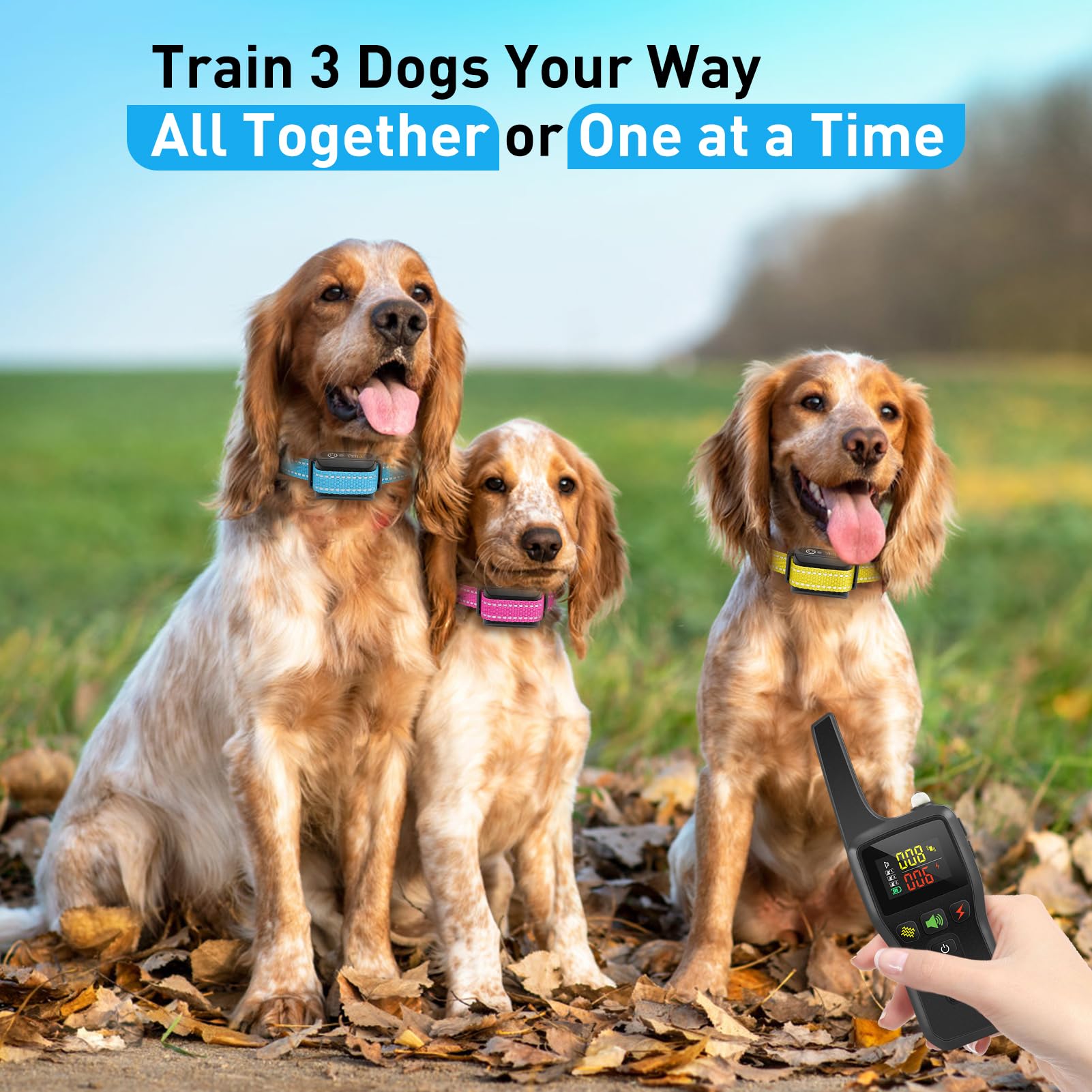 PetJoy 3-dog pairing enables synchronized training across three pets.