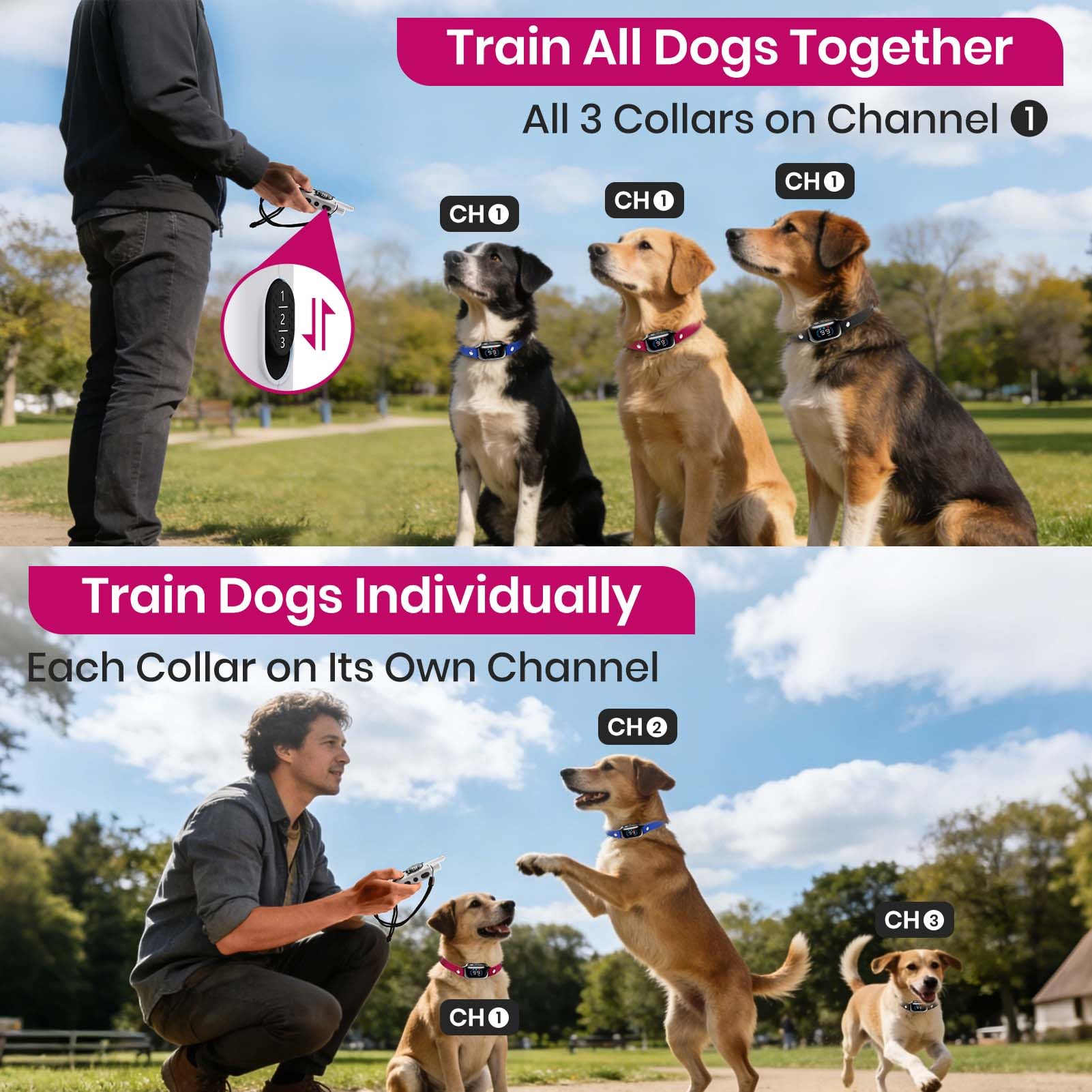 PetJoy three-dog collar system shown for synchronized training across dogs.