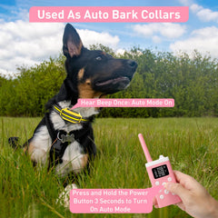 PetJoy auto bark collar feature in action, simplifying training sessions.