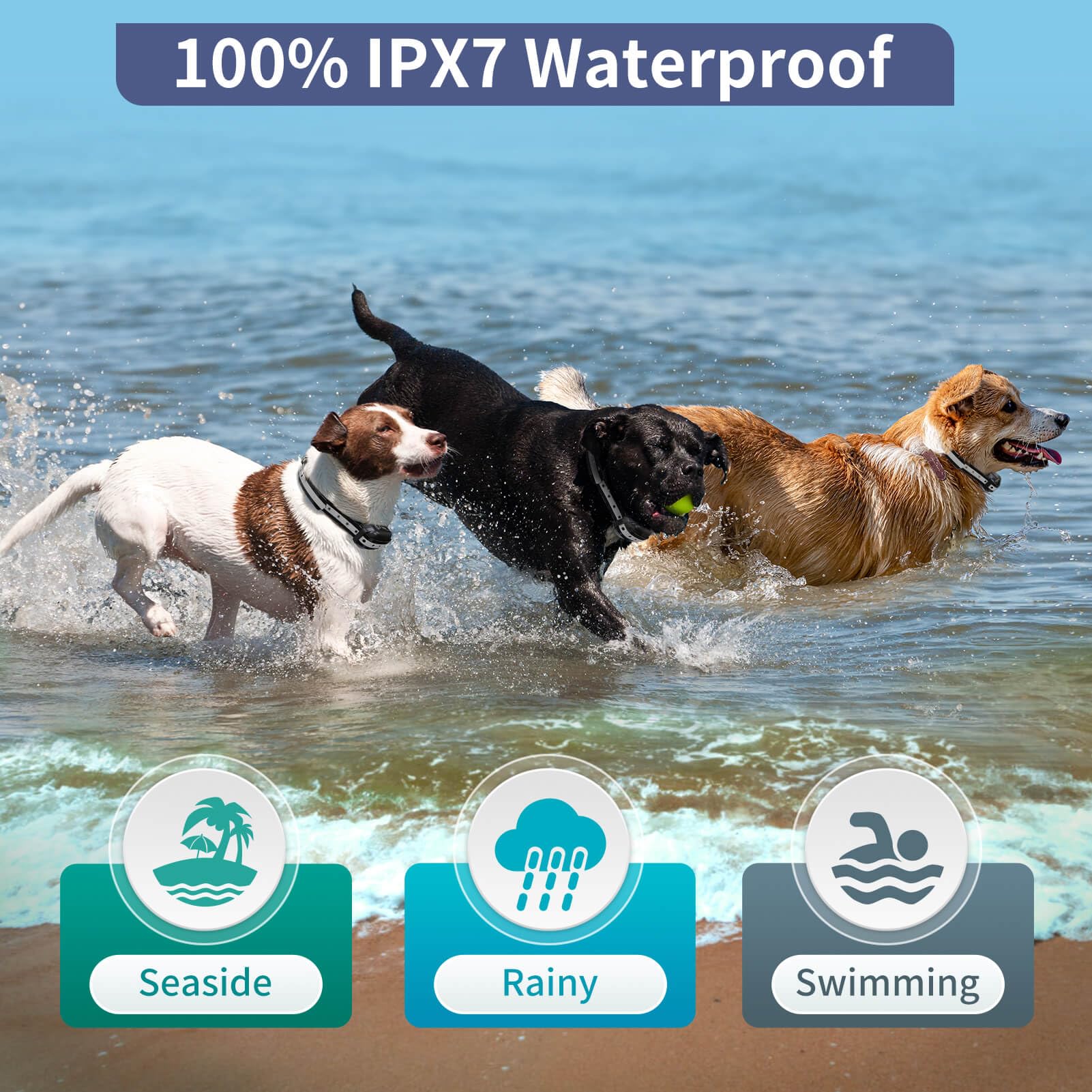 PetJoy Auto Mode features five sensitivity levels for different breeds.