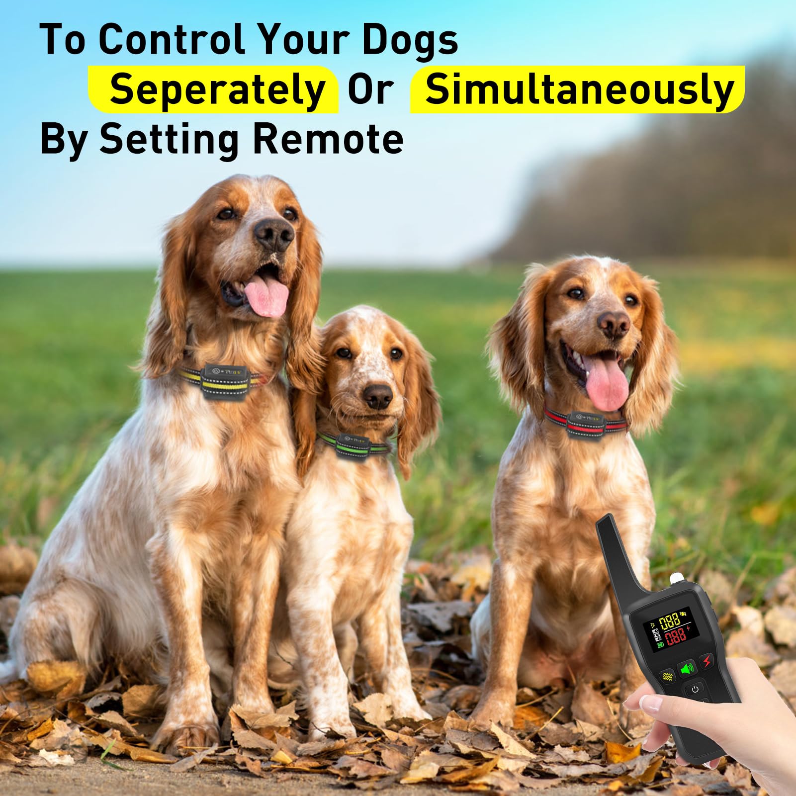 PetJoy auto mode and remote use for versatile training
