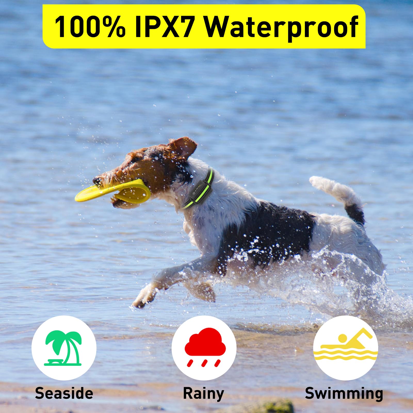 PetJoy IPX7 waterproof design withstands rain during outdoor training