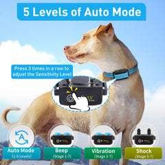 PetJoy IPX7 waterproof collar keeps working in rain or splashy play.