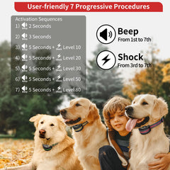 PetJoy activation-sequences display seven training modes on the collar