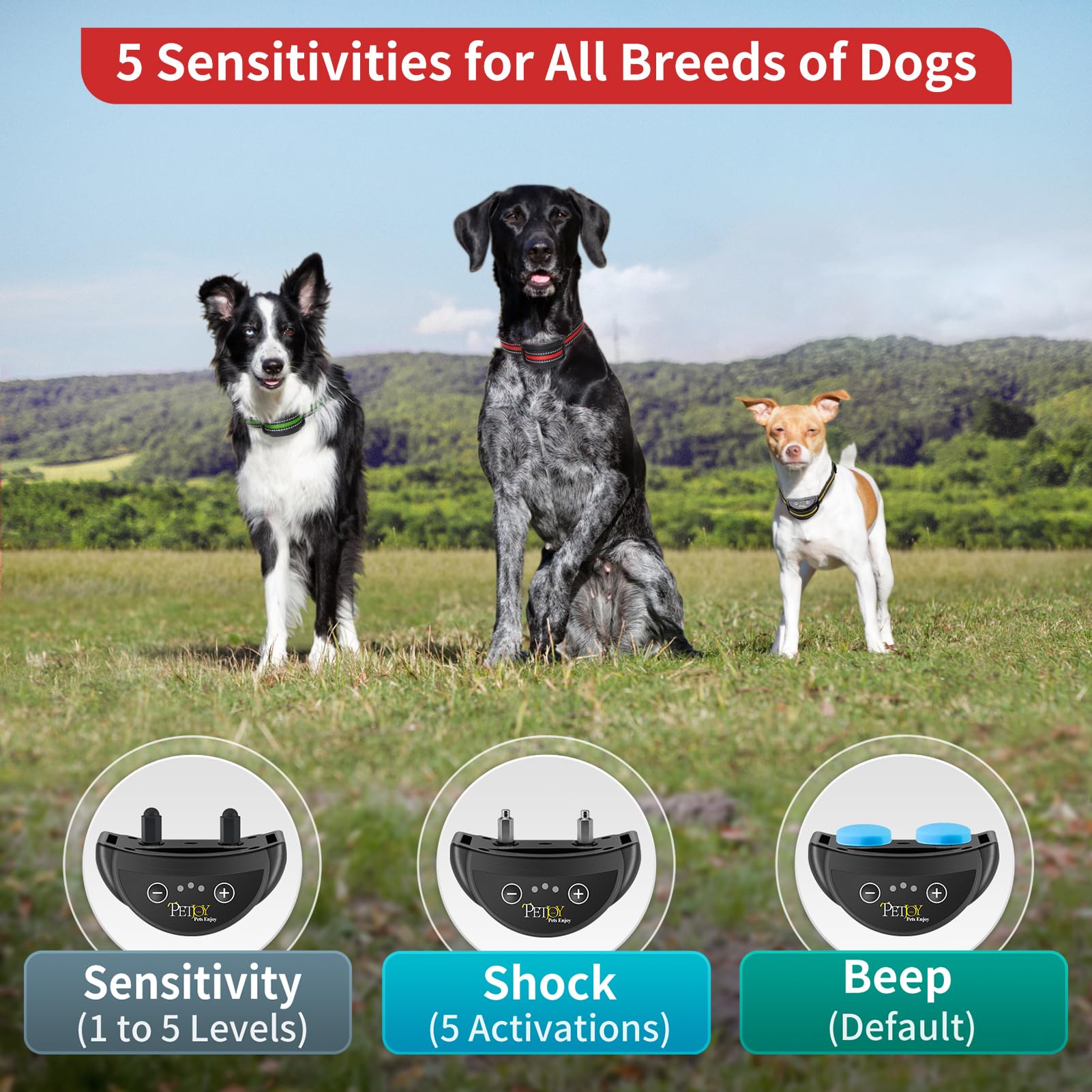 PetJoy three-pack shown for multiple dogs training at home