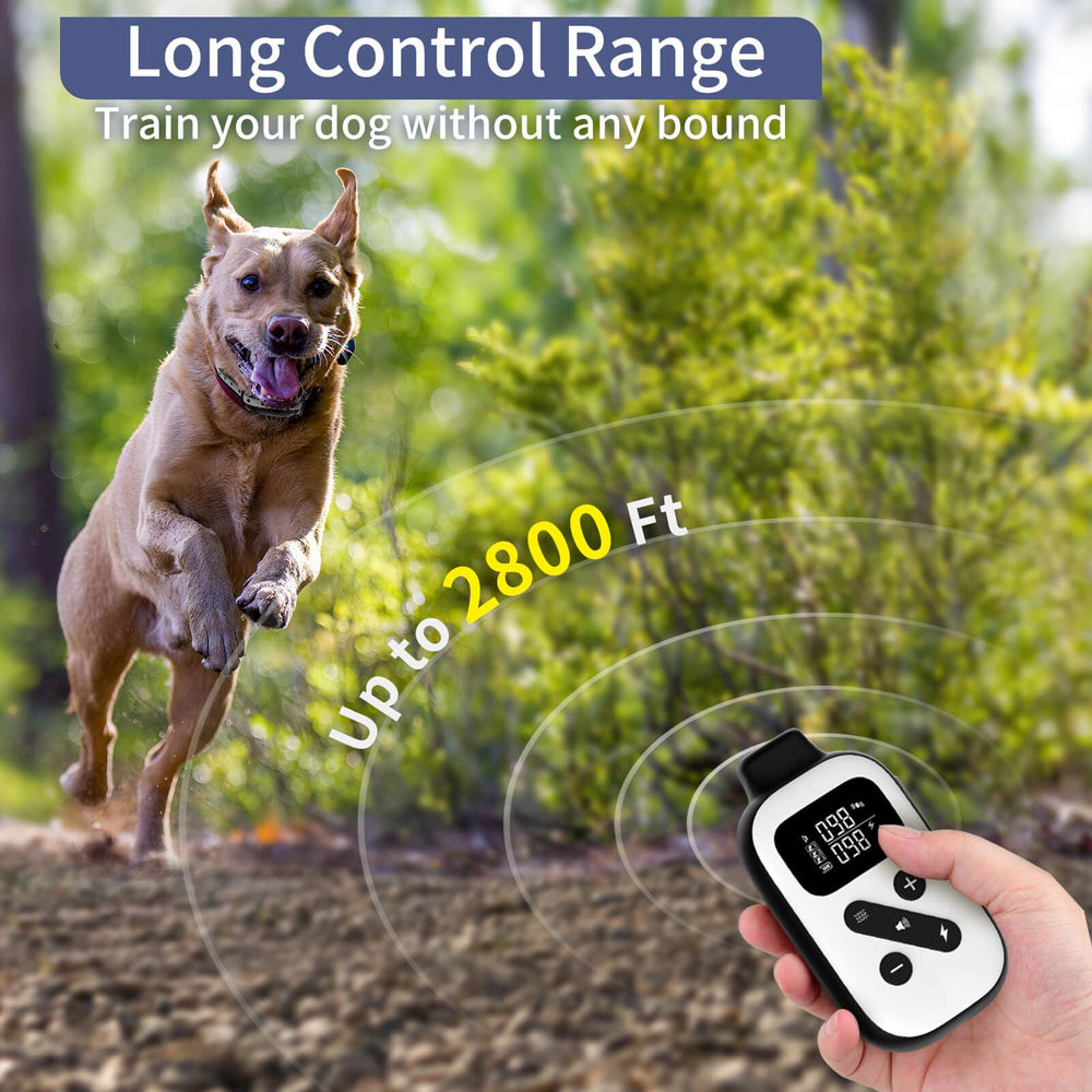PetJoy Three-dog pairing setup supports flexible training scenarios.