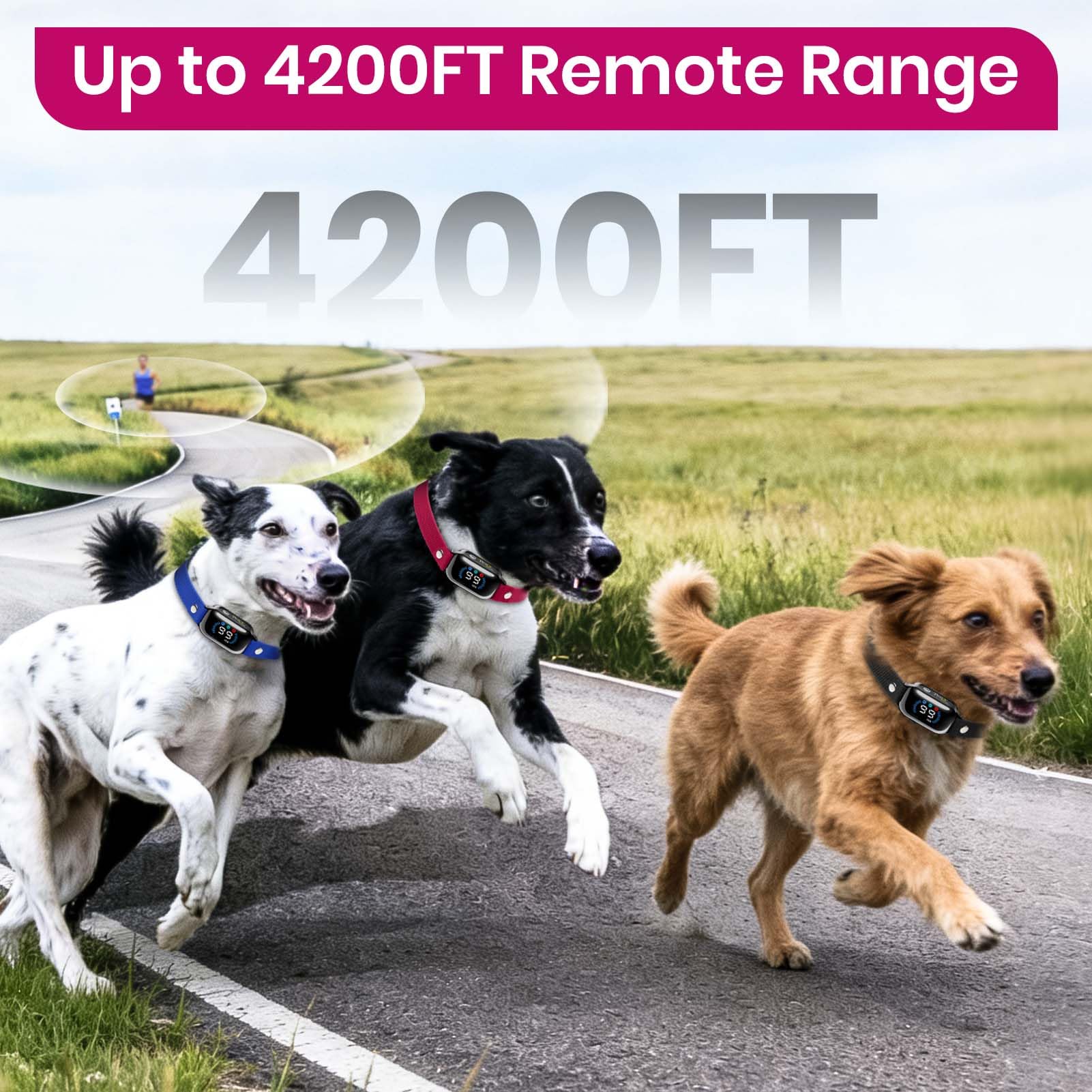 PetJoy rechargeable remote and receivers with long-lasting battery life.