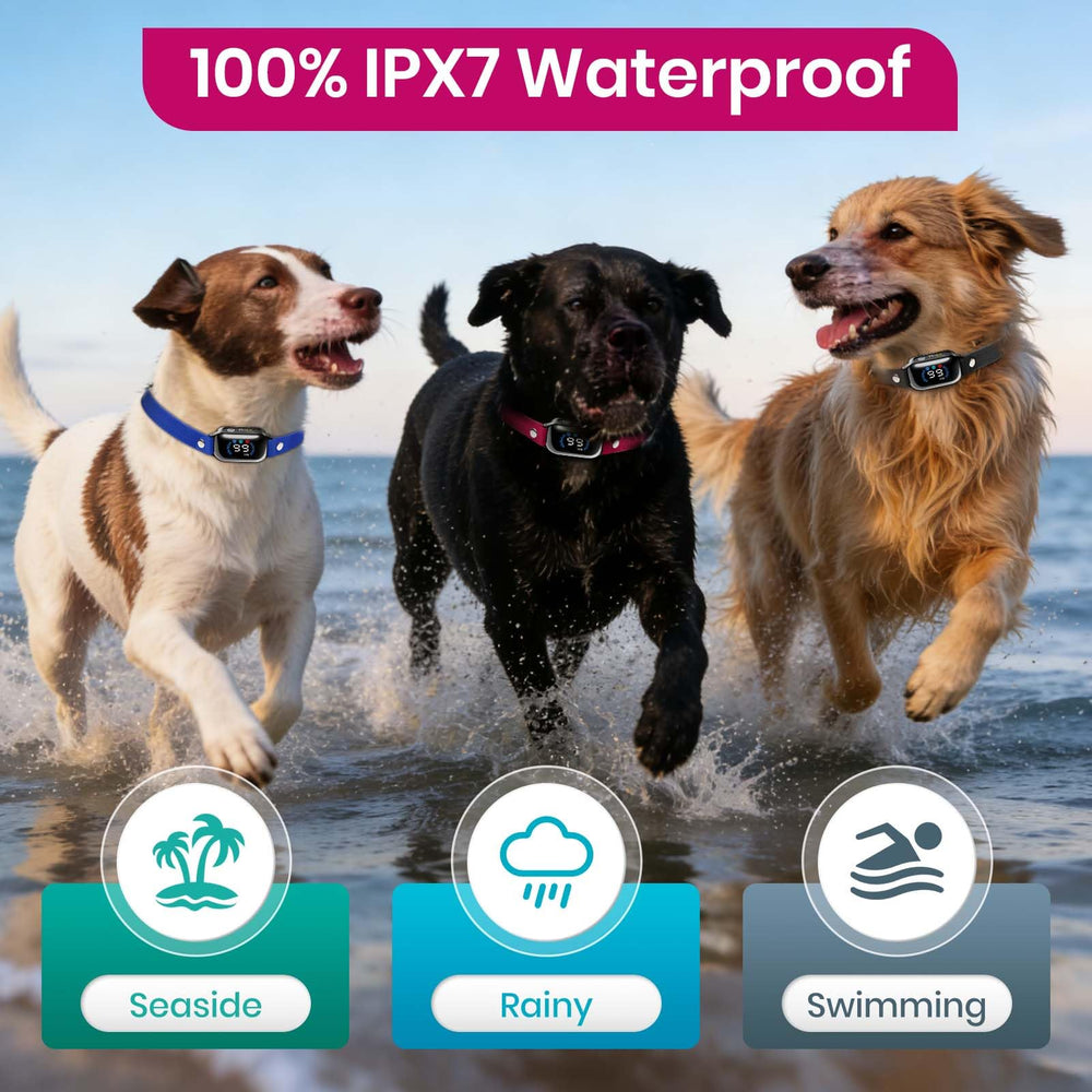 PetJoy remote slide lock prevents accidental shocks during transport.
