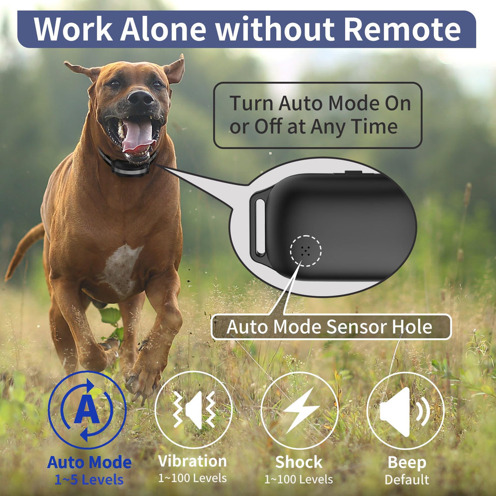 PetJoy Shock level 1-100 adjustment for customized corrections.