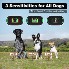 PetJoy Smart Bark Collar no-shock mode emphasizes gentle vibration alerts.