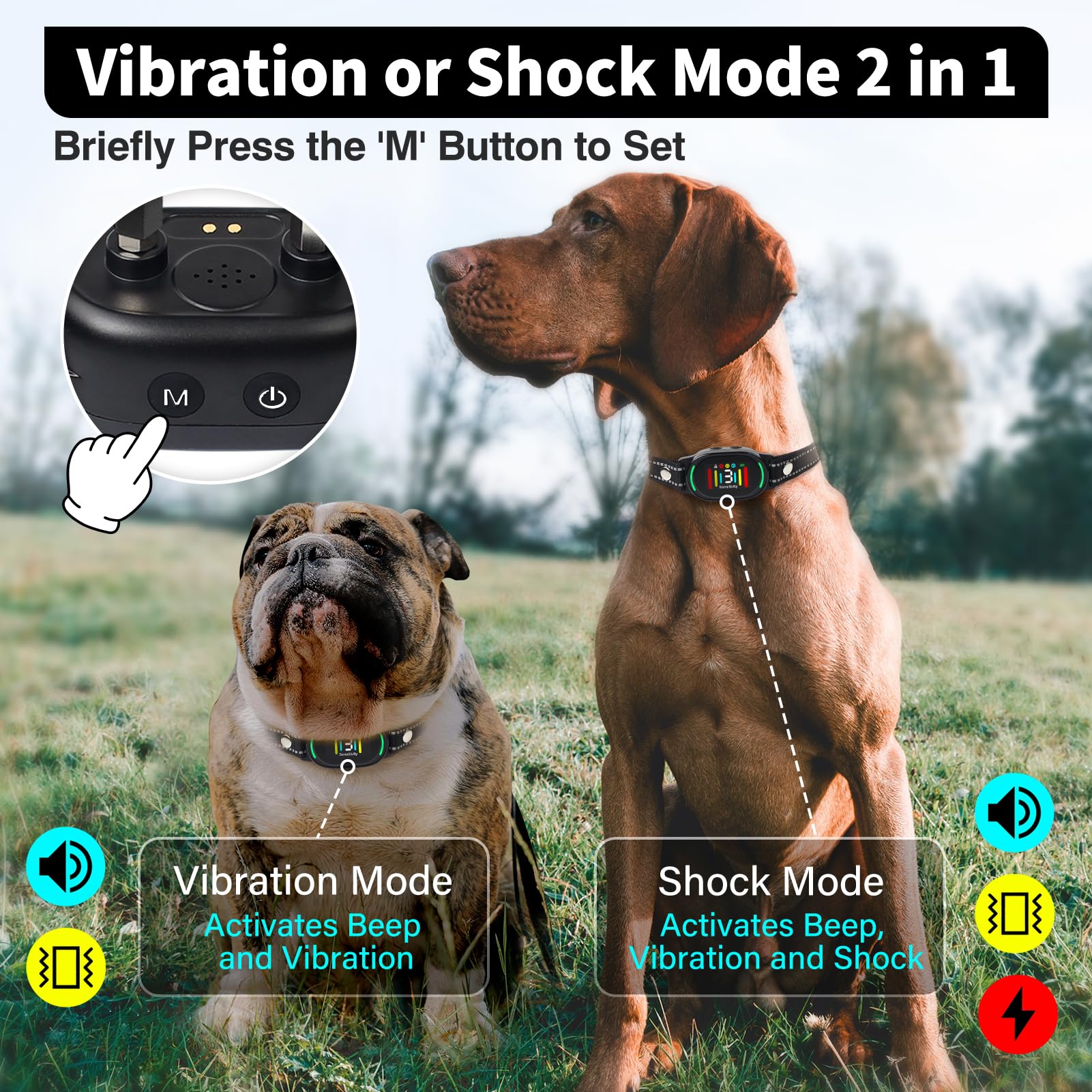 PetJoy Smart Bark Collar worn on dog during walk for discreet training.