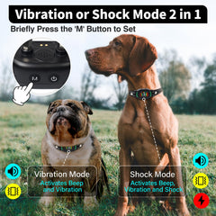 PetJoy Smart Bark Collar worn on dog during walk for discreet training.