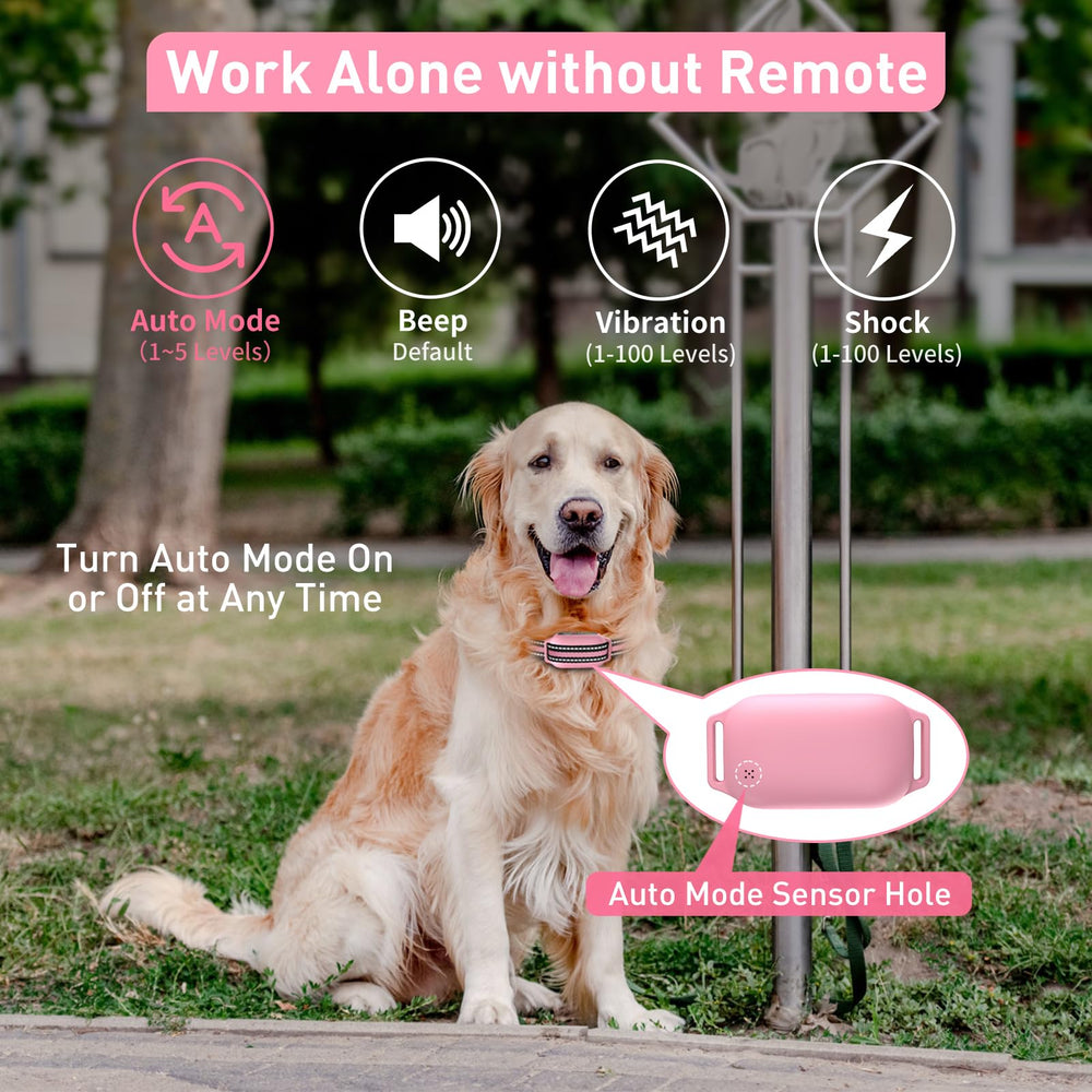 PetJoy three-dog training scene showing real-world supervision.