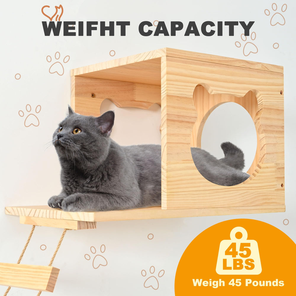 PETKABOO cat wall shelves climber and platform enable vertical exploration.
