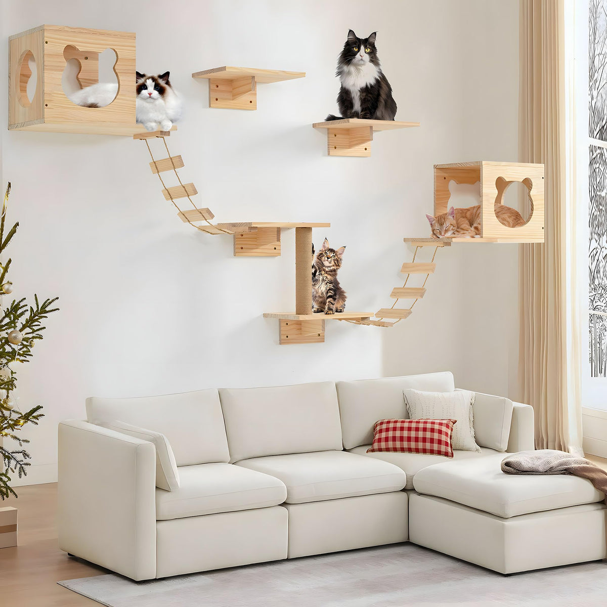 PETKABOO cat wall shelves installation shows easy setup and space-saving design.