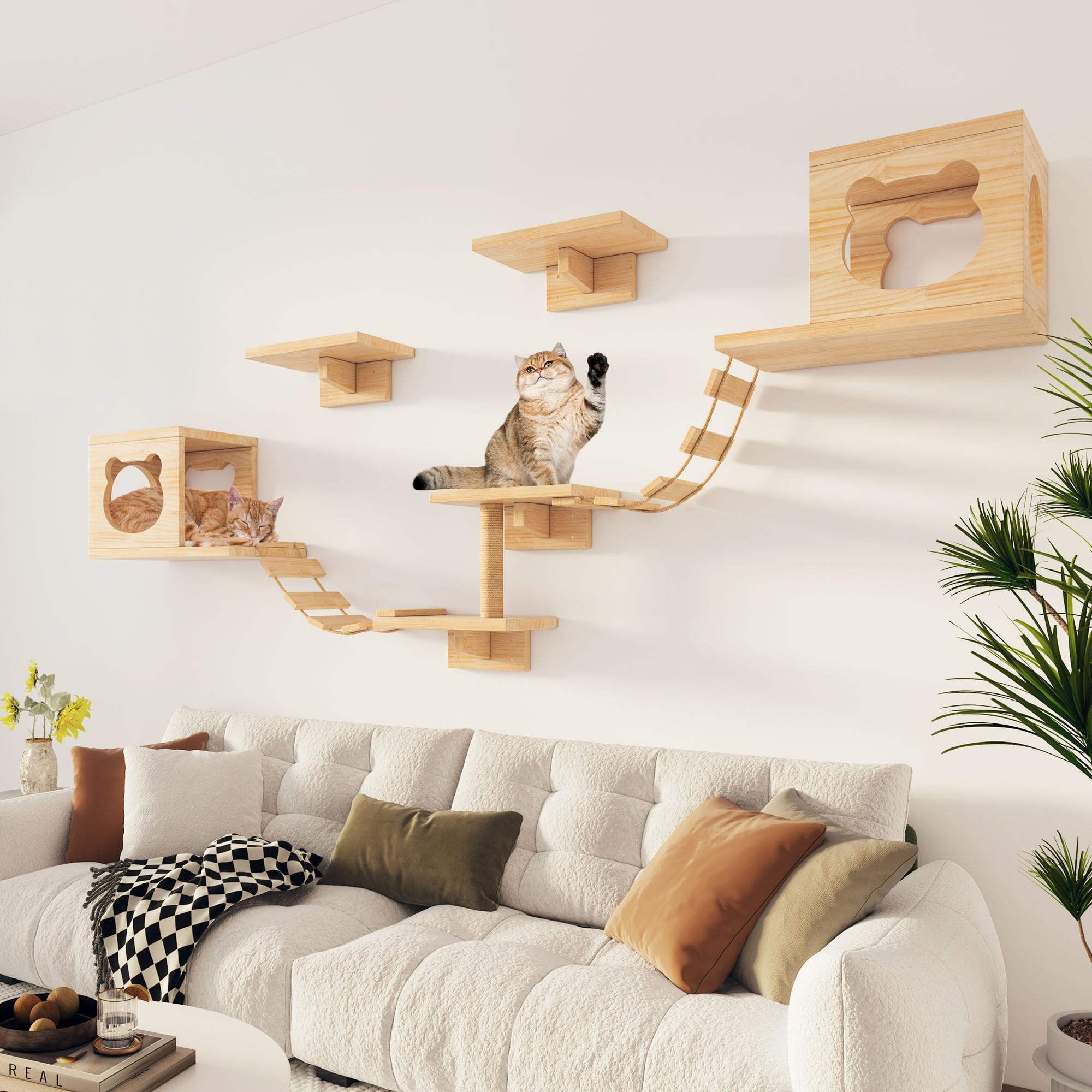PETKABOO cat wall shelves multi-function play design fuels activity.