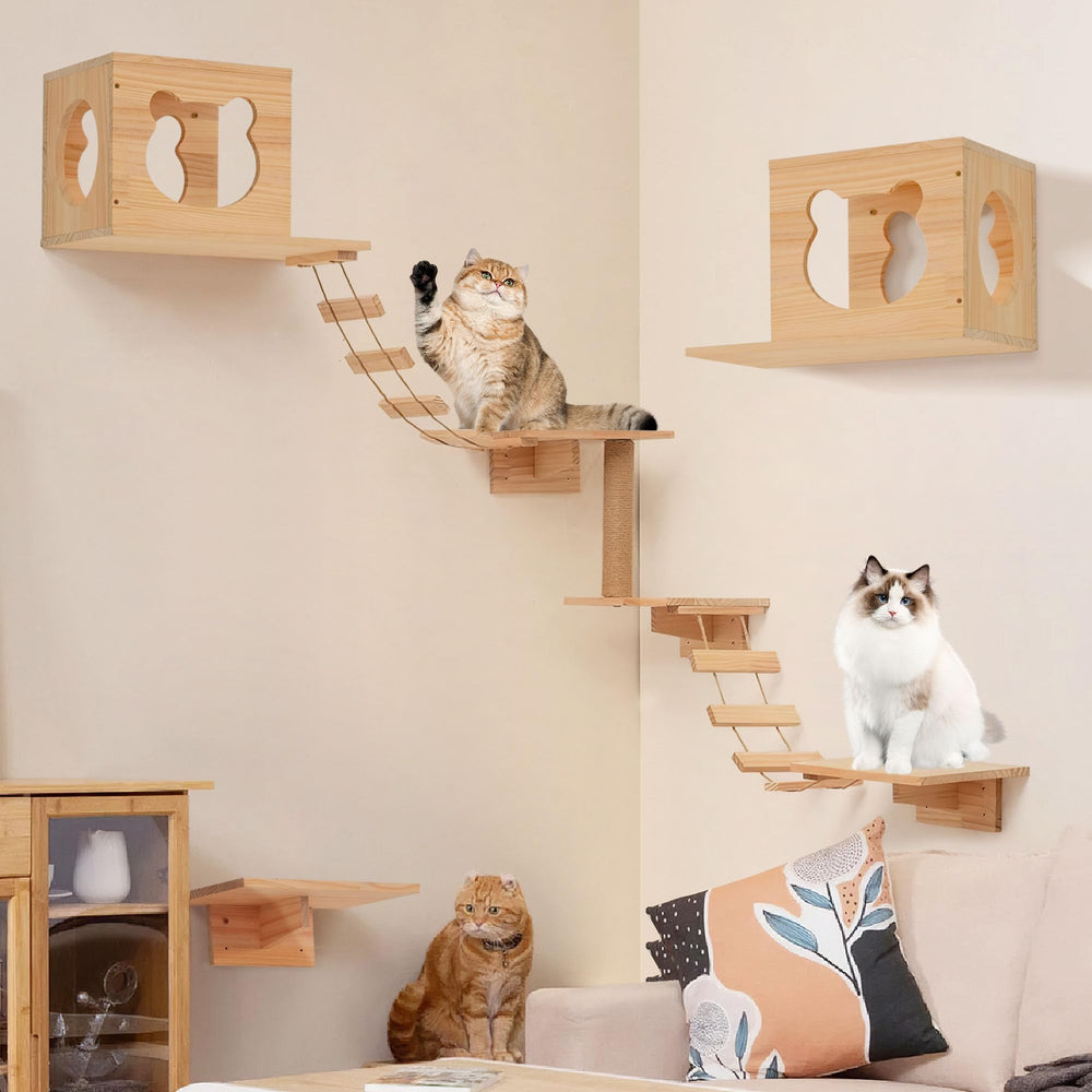 PETKABOO cat wall shelves sleek look complements modern interiors.