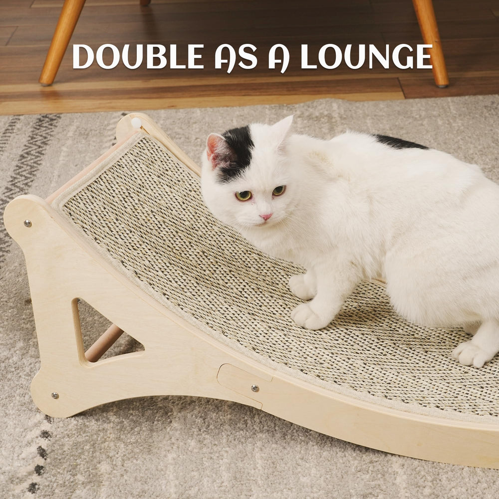 PETKARAY cat enjoys playtime on the curved scratcher