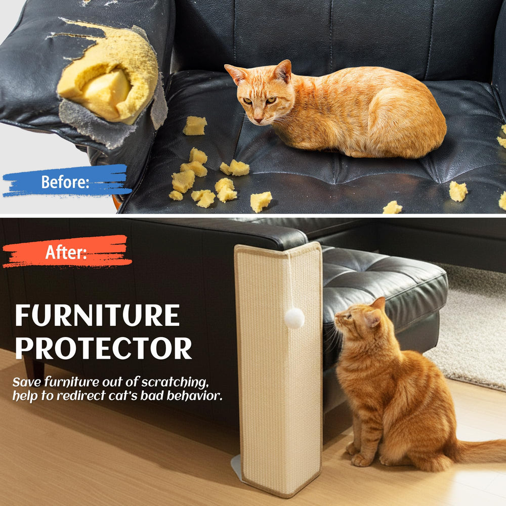 PETKARAY cat scratching action demonstrates use.