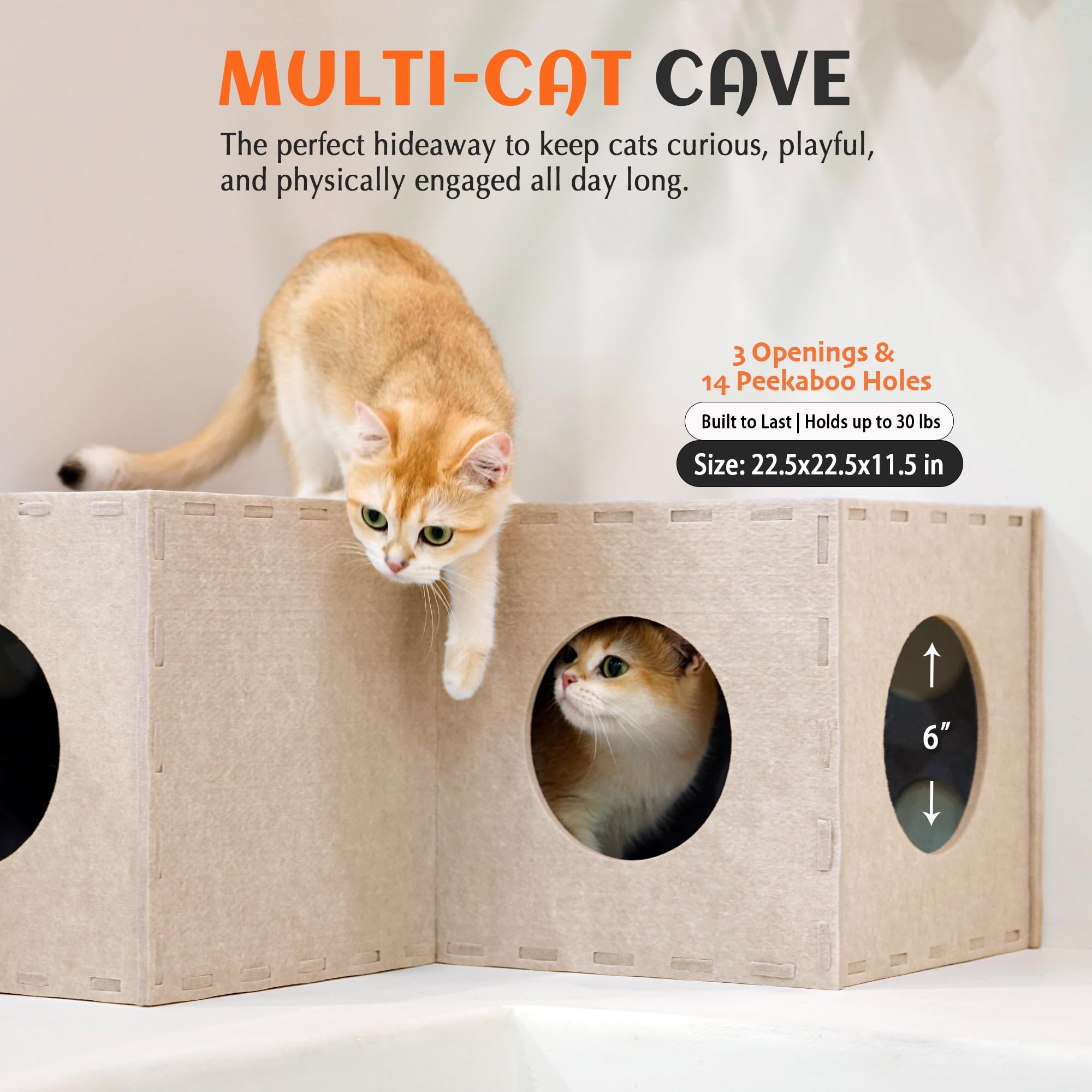 PETKARAY Cat Tunnel extensible kingdom demonstrates expandable layout for larger play.