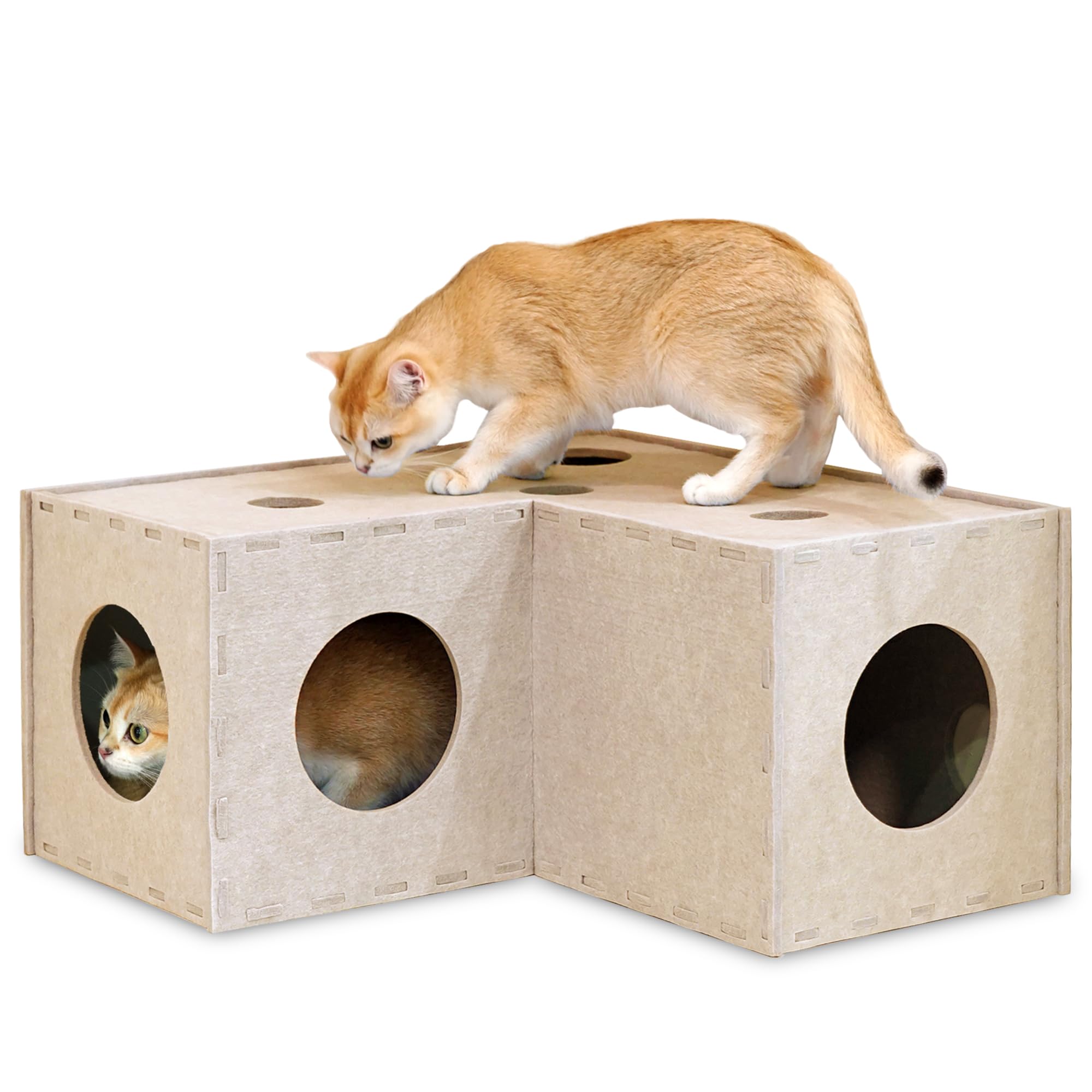 PETKARAY Cat Tunnel original design showcases a cozy hideaway for indoor cats.