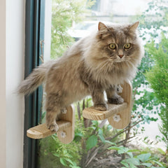 PETKARAY Cat Window Shelf original perch provides a sturdy elevated spot for curious indoor cats.